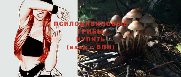 скорость Верхний Тагил